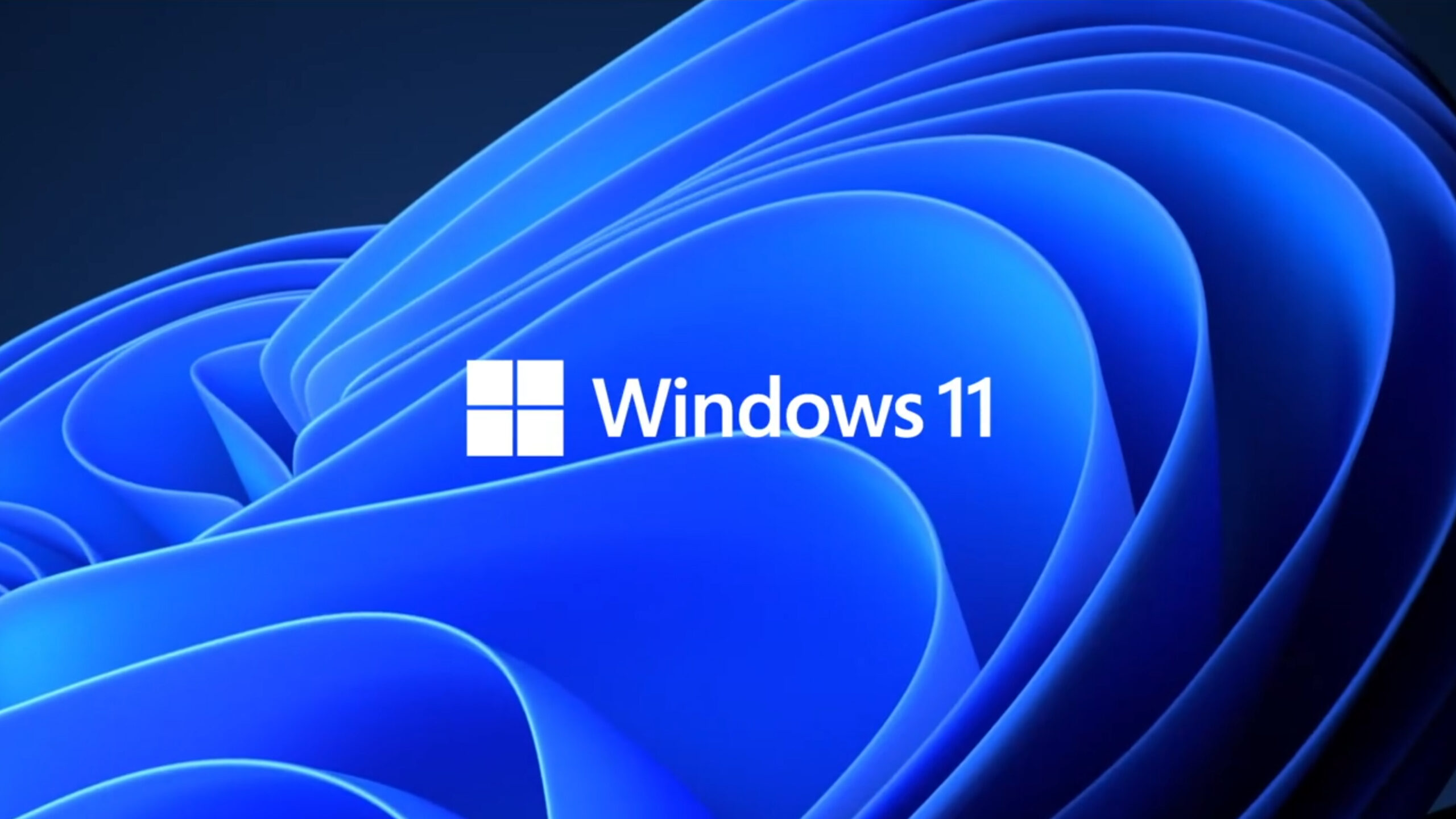 Windows 11 downloaden